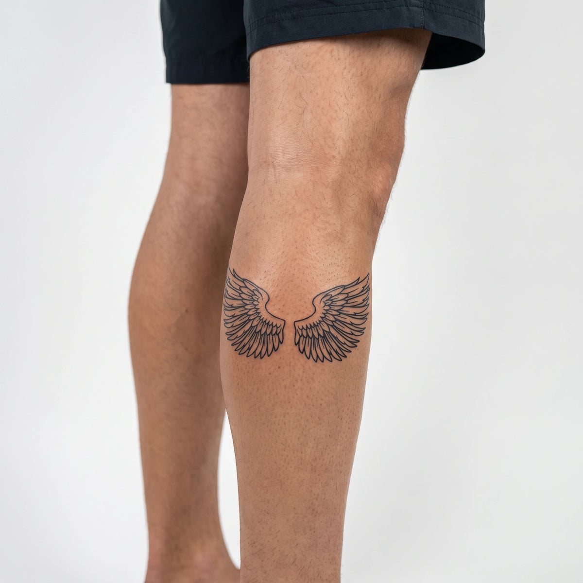 WINGS